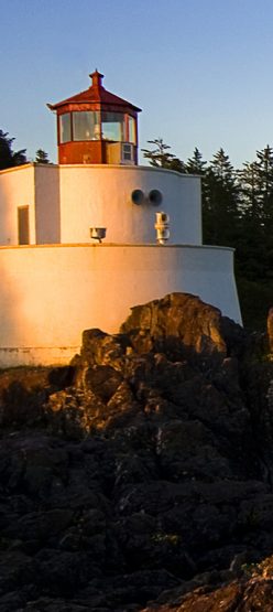 Makunat